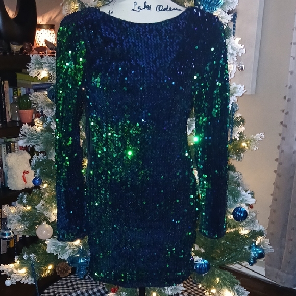 Sequin Long Sleeve Dress in Blue and Green - Picture 1 of 8